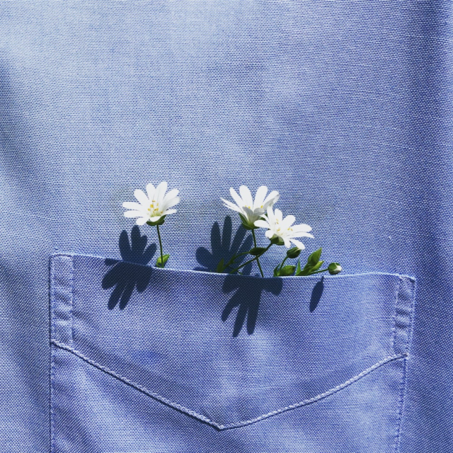 Flowers tucked into a shirt pocket