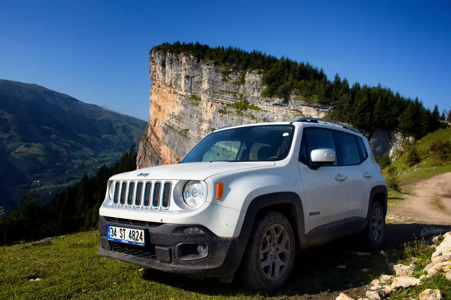 car garbage can for Jeep Renegade