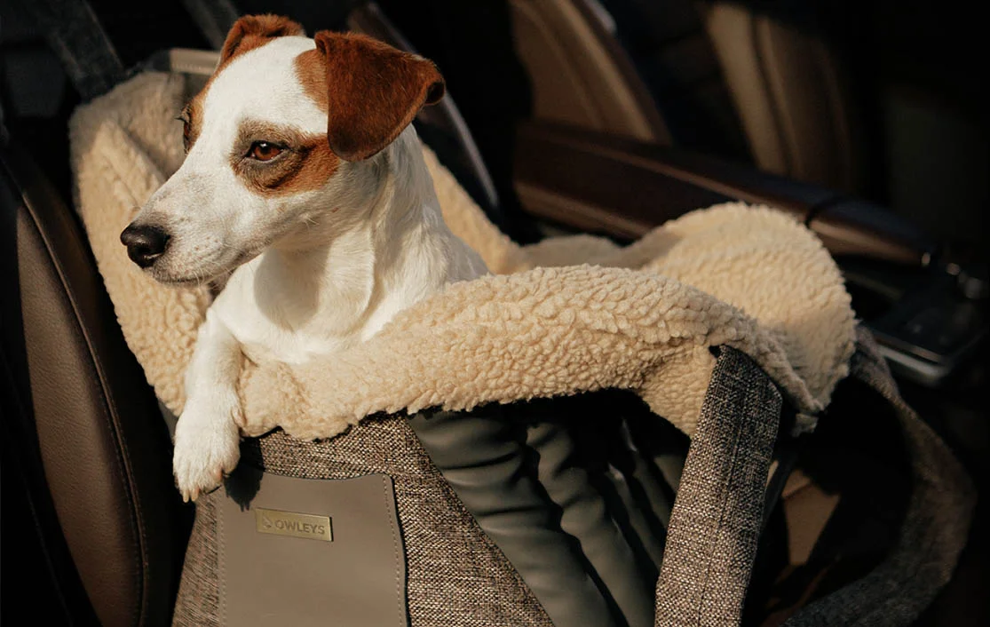 Honda CR-V Dog Carrier Car Seat for Italian Greyhound