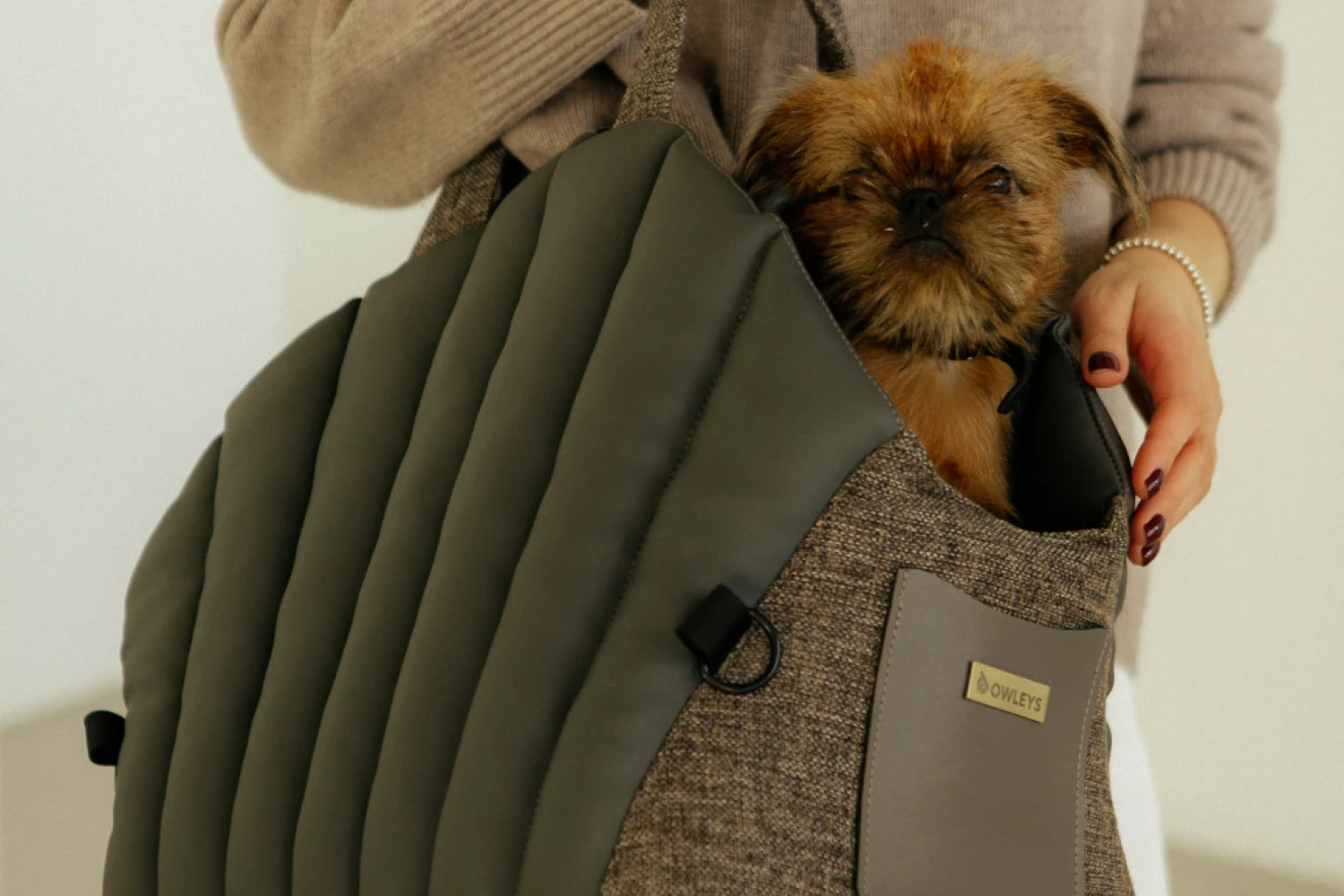 Biewer Terrier Dog Carrier Car Seat for Mercedes-Benz GLE