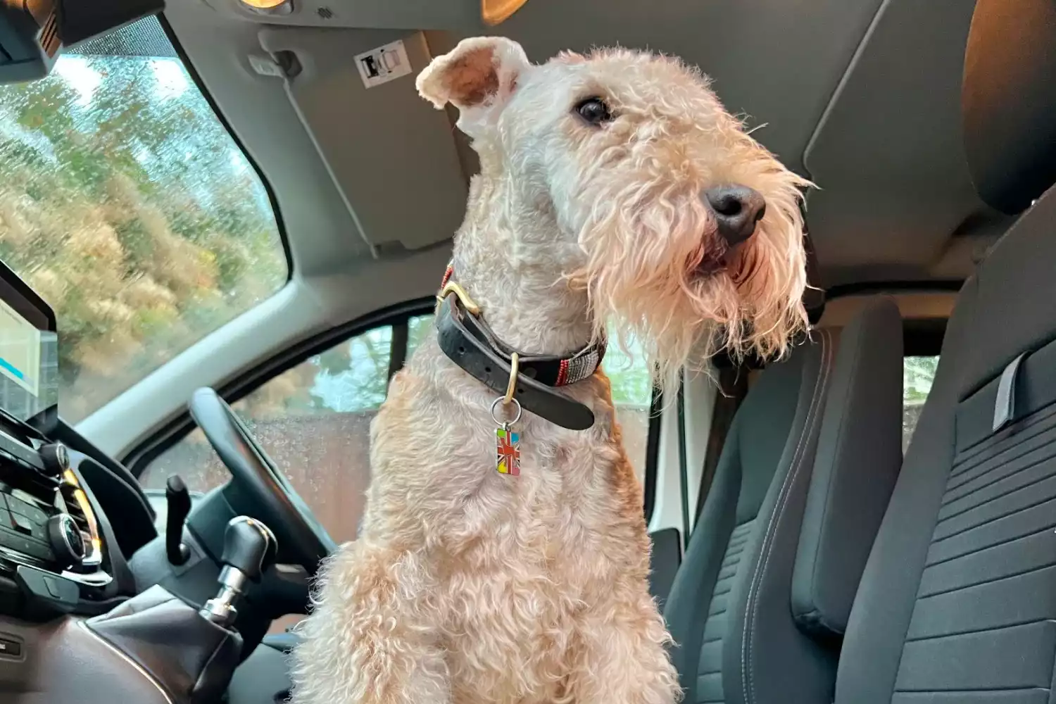 Toyota Corolla Dog Carrier Car Seat for Lakeland Terrier