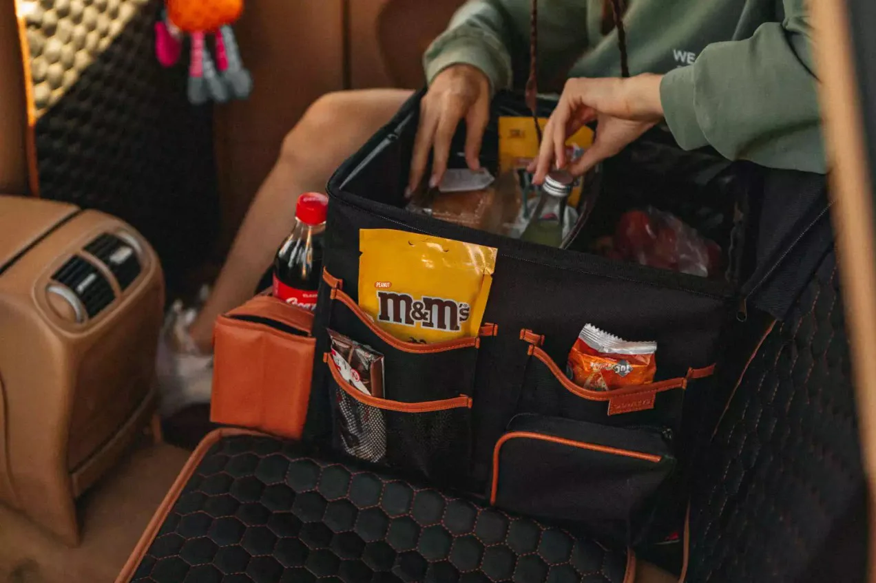 Jeep Renegade organizer for road trip