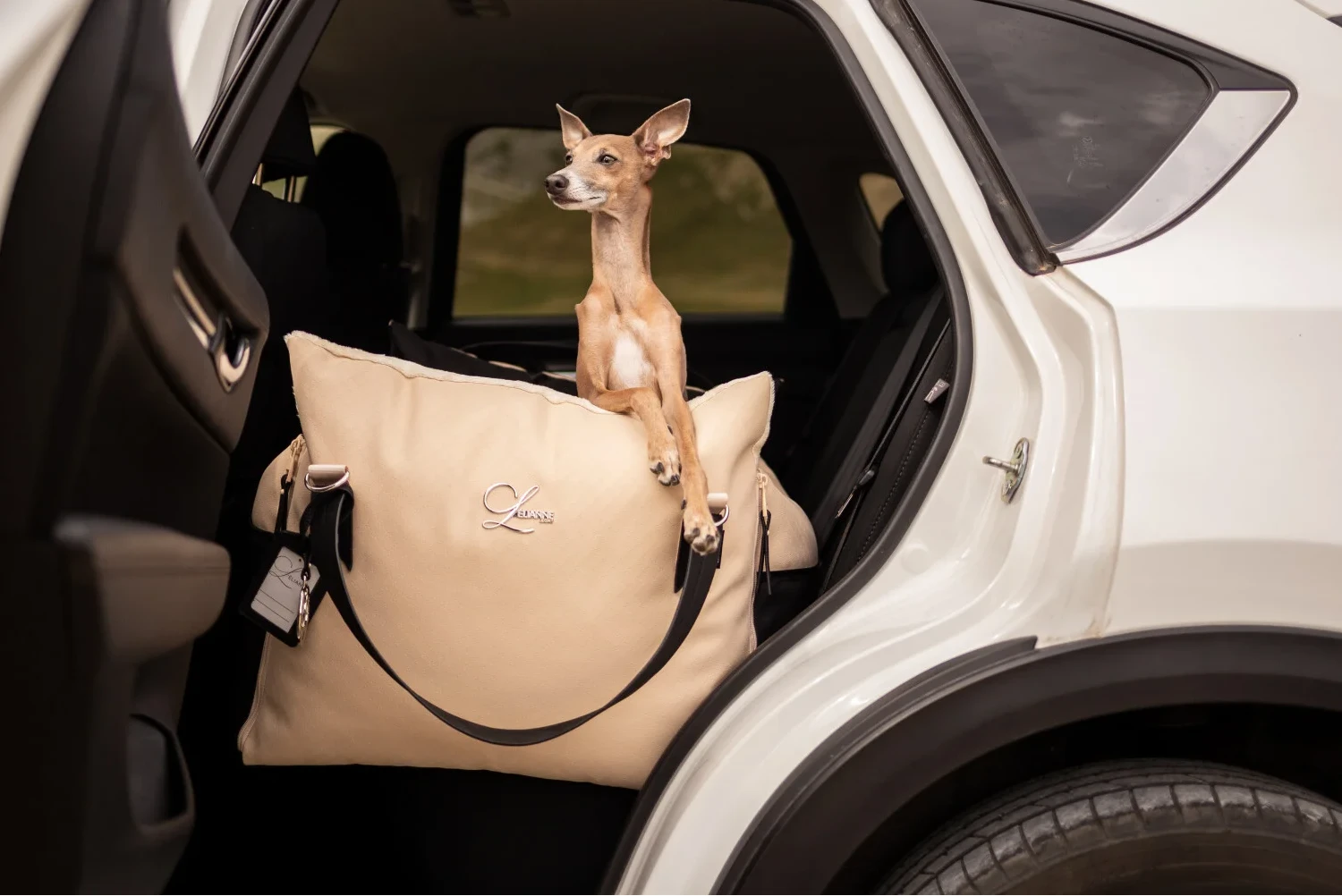 Ford Mustang Dog Car Seat Belt for Italian Greyhounds