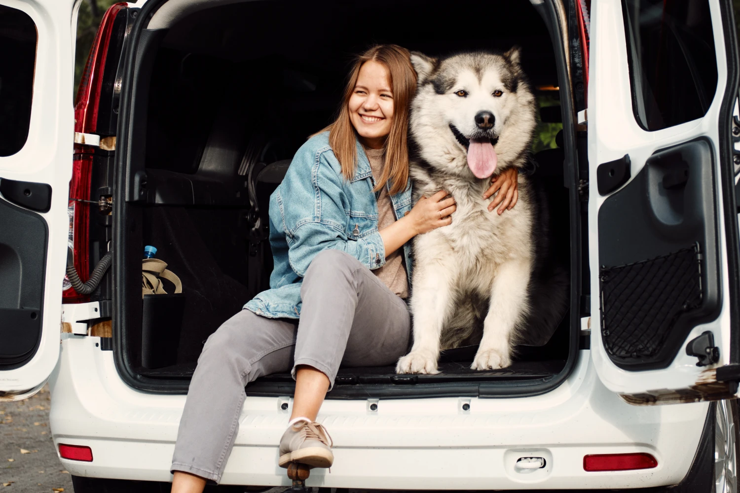 Subaru Ascent Dog Car Seat Belt for Alaskan Malamutes