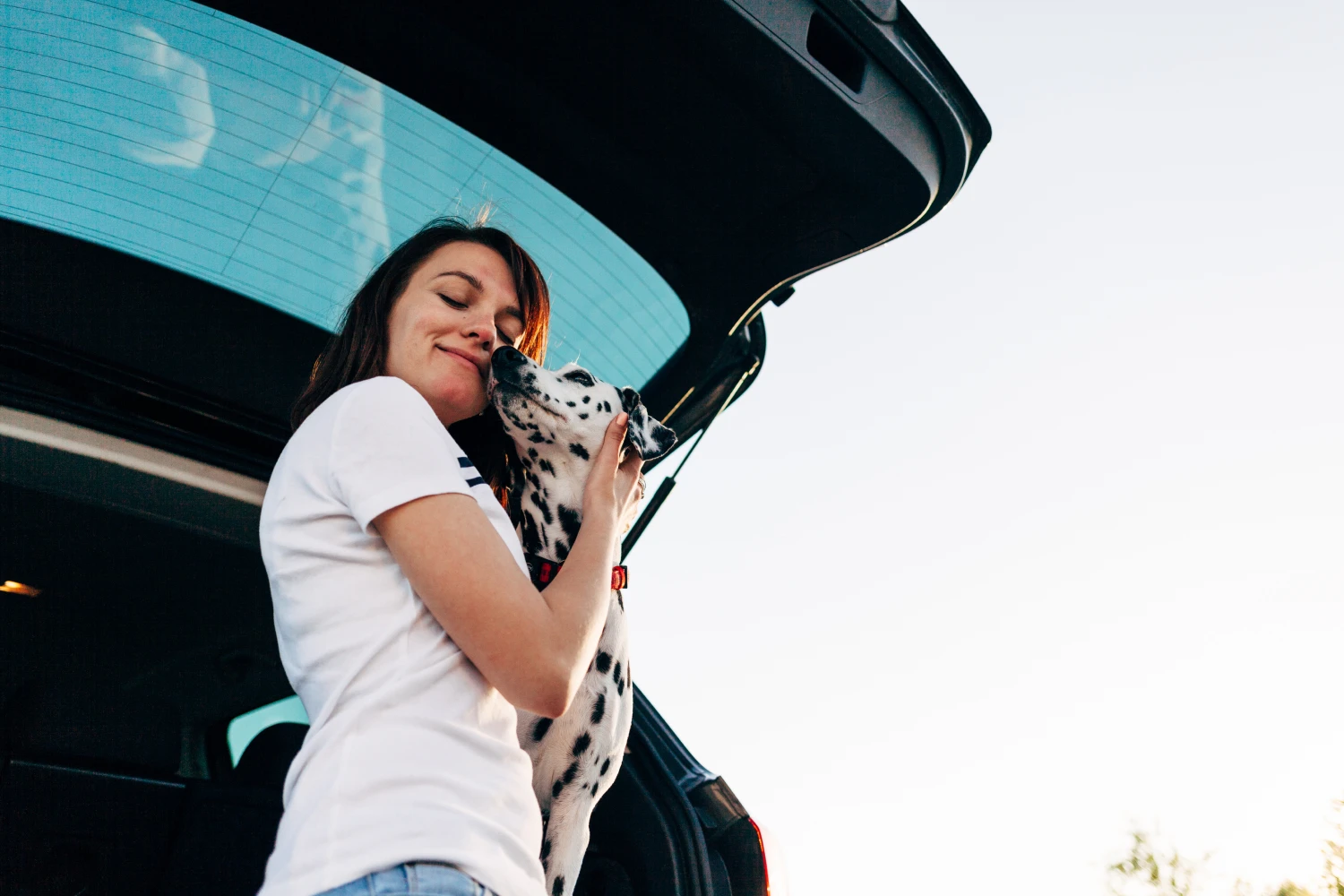 Jeep Renegade Dog Car Seat Belt for Dalmatians