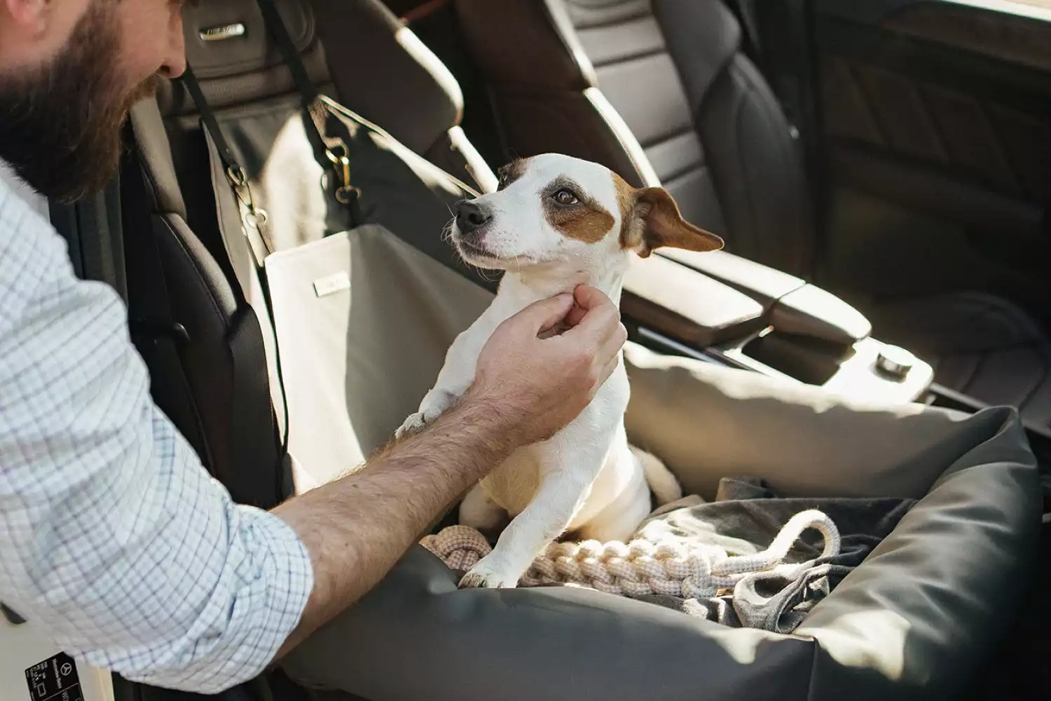 Kia Sorento Dog Car Seat for Lowchen