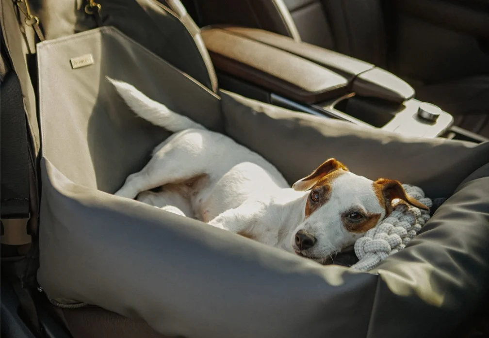 Xoloitzcuintli Dog Car Seat for Toyota Corolla