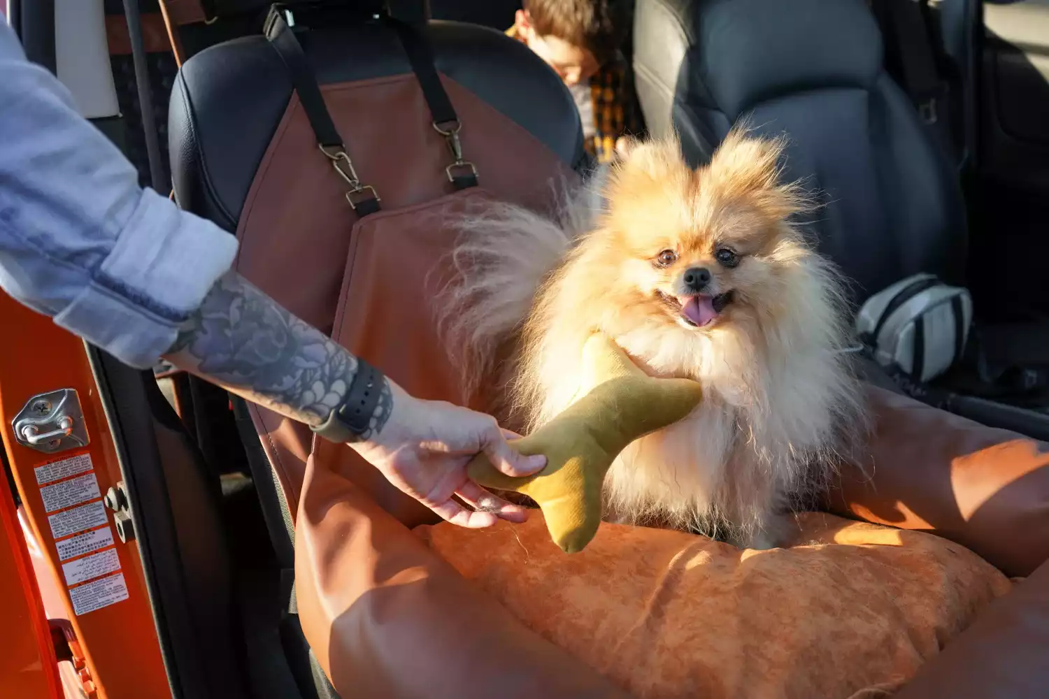 Keeshonden Dog Car Seat for Chevrolet Impala