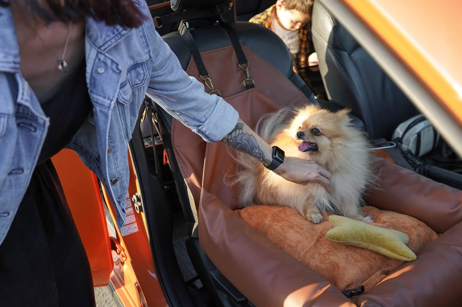 Shar-Pei Dog Car Seat for Chevrolet Camaro
